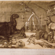 Illustration for article titled The Lost Dinosaurs of New Yorks Central Park